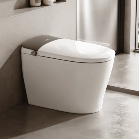 Smart Toilet Integrated Intelligent Toilet Top Replacement Liquid Safe Anti-Leakage Antibacterial Seat Deodorizing and Silent Smart Toilet Instan (D07-DDG111011111101A: D07-DDG111011110101A)